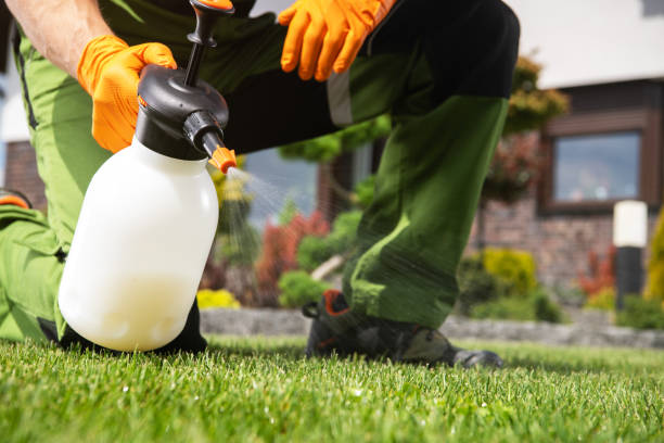 Bird Control in Charleston, WV