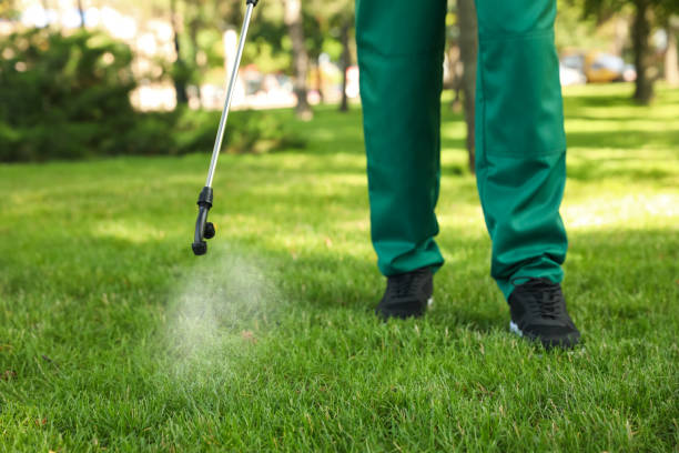Flea Control Services in Charleston, WV