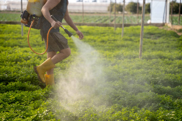Best Affordable Pest Control Services  in Charleston, WV