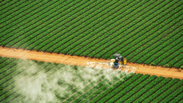 Insect Control in Charleston, WV