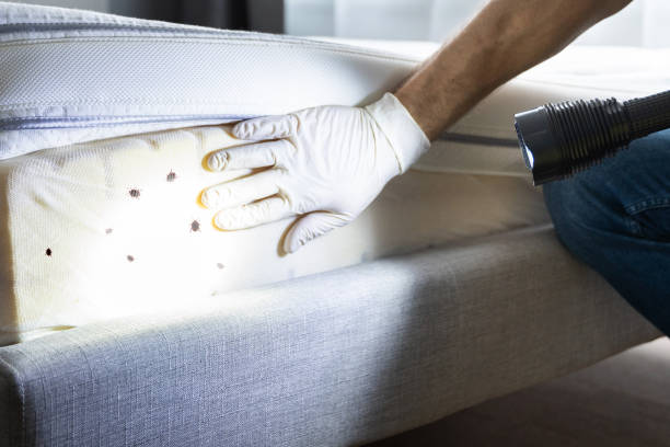 Best Pest Control Near Me  in Charleston, WV