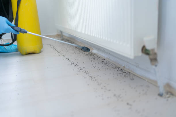 Best Exterminator Services  in Charleston, WV