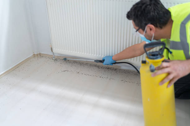 Professional Pest Control in Charleston, WV