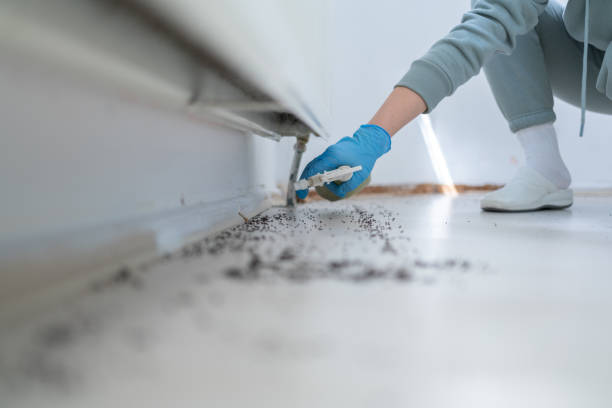 Best Insect Control  in Charleston, WV