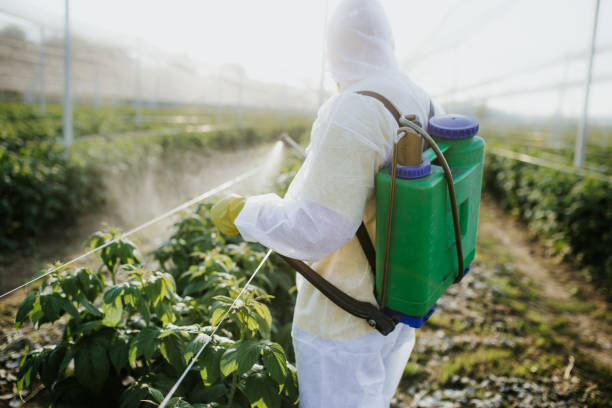 Best Pest Prevention Services  in Charleston, WV